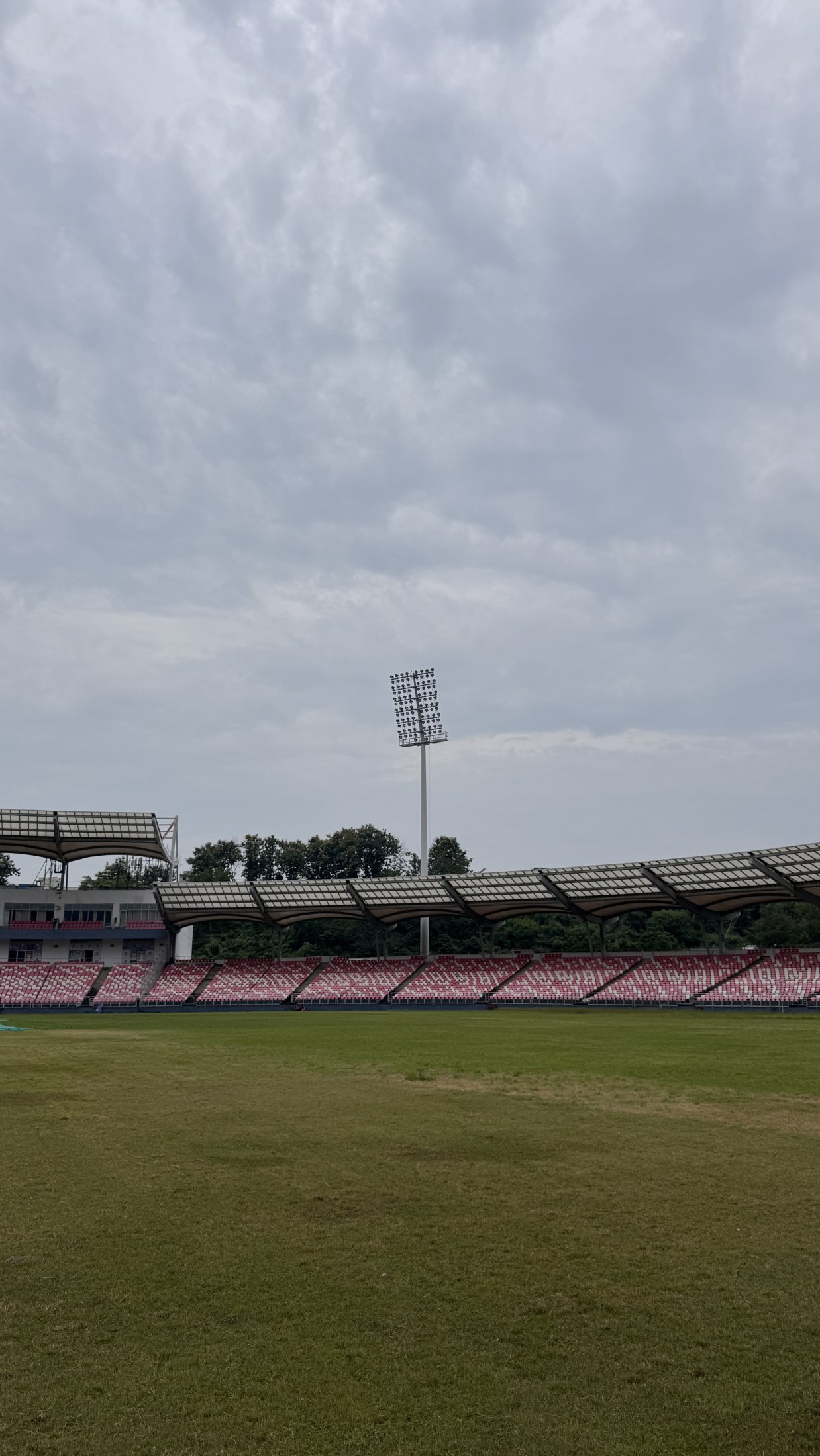 Stadium Pitch